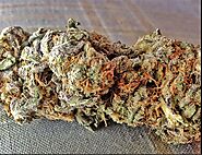 Relieve Yourself from Various Mental Disorders with Runtz Weed Strain