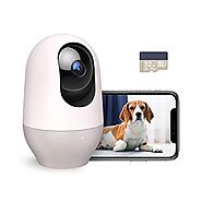 Nooie Dog Camera with Phone App, WiFi Pet Camera with SD Card, Indoor Home Security Camera for Pet/Baby/Nanny, with A...