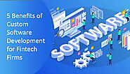 5 Benefits of Custom Software Development for Fintech Firms - Firevista
