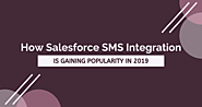 SMS integration in Salesforce Archives - 360 SMS App