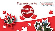 Top Reasons To Study In Canada - Education - Nigeria