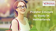 Top Courses Students Choose to Study in Netherlands