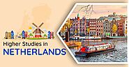 How to Study in the Netherlands – A Guide for International Students