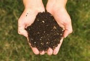 How To Make Organic Fertilizer in 5 Easy Steps -