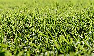 Know The Basic Specifications Before Installing Synthetic Turf In Gold Coast