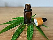 Line Organic CBD Oil Trial – UK – cbd info and shop