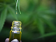 6 Best Cheap CBD Oils of 2021 - cbd info and shop