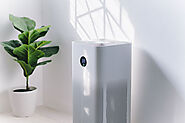 Monitor & Manage Air Quality with Smart Air Purifiers