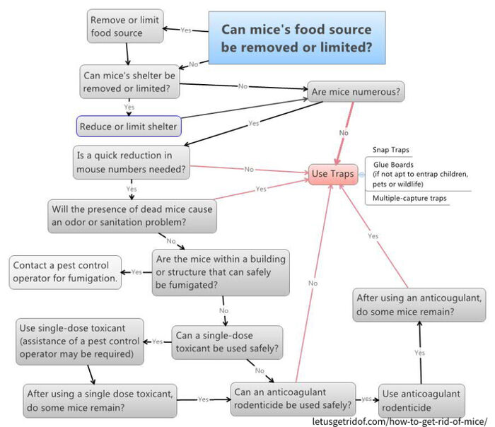 How To Get Rid Of Mice Flow Chart A Listly List