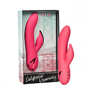 Trustworthy Range Of Sex Toys Available At This Adult Shop Adelaide