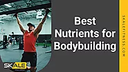 Best 10 Nutrients for Bodybuilding Best at Skale Fitness