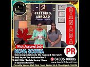 Canada PR With Assured Job Fast Visa Processing Required Limited Documents Assured Visa