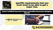 Super Visa / Visitor Visa No Age limit Minimum Documents required High Visa Success Rate