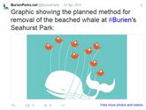 City of Burien Parks & Recreation Beached Whale Removal
