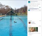 City of Staunton Parks & Recreation - Open Duck Swim