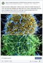 Hawaii Dept. of Health - Ebola is ancient