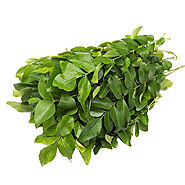 Website at https://indiangrocerystore.mystrikingly.com/blog/incredible-health-benefits-of-curry-leaves-kadi-patta