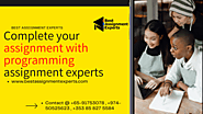 Programming assignment experts