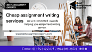 cheap assignment writing services