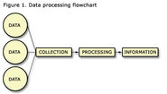 Data Processing: - A Vital Tool for Database Management