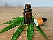 How Effective Is Medical Marijuana To Treat Drug Addiction?