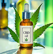 Getting To Know The Potential Side Effects Of Using Cbd Oil