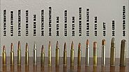 Common Caliber Guns And Their Use | www.GunsandOptics.com