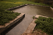 BWSSB’s shoddy work: Untreated water from STP enters Agara Lake - Residents Watch - Bengaluru