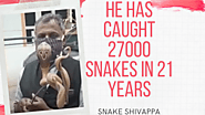 Before you call a snake catcher, read this! - Residents Watch - Bengaluru