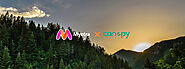 Myntra Partners With Canopy to Conserve Forests - myntra