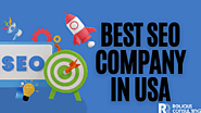 Boost Your SEO with Our Professional Company in USA