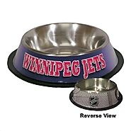 Winnipeg Jets Pet Dog Bowl by Hunter