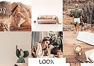 Loox presets- Professional Lightroom Presets for Mobile