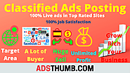 The Blue Print for Writing Classified Ads – Ads Thumb