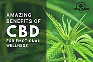 Amazing Health Benefits of CBD for emotional wellness | Get Medical Marijuana Card in Fresno
