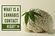 What is a Cannabis Contact High? | My MMJ Doctor