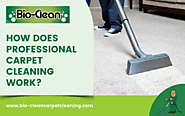 How Does Professional Carpet Cleaning Work | Pottstown, PA