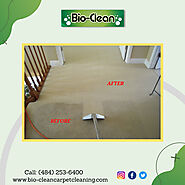 Carpet Cleaning in Pottstown PA