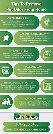 Tips To Remove Pet Odor From Home [Infographic]