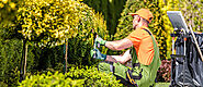 What Does Landscape Maintenance for a Property Include?