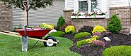 A Homeowner’s Guide to Spring Landscape Maintenance