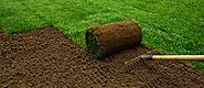 10 Signs It is Time for Sod Replacement