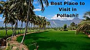 Best Tourist Cabs in Pollachi – Tourist Cab Hire in Pollachi With Driver @ Low Fare