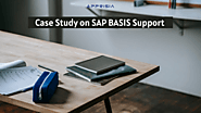 SAP BASIS and Infrastructure Management Case Study