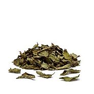 Order Peppermint Tea Leaf Online From JING Tea