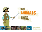 How Animals Meet Their Needs