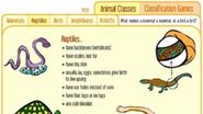 Animal Classification Game