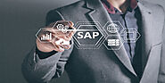 What Are The Various Aspects Determining The SAP B1 Pricing?