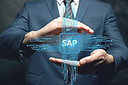 What Are The Various Levels of SAP Business One Partner?