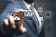 What is SAP Business One Service Management?